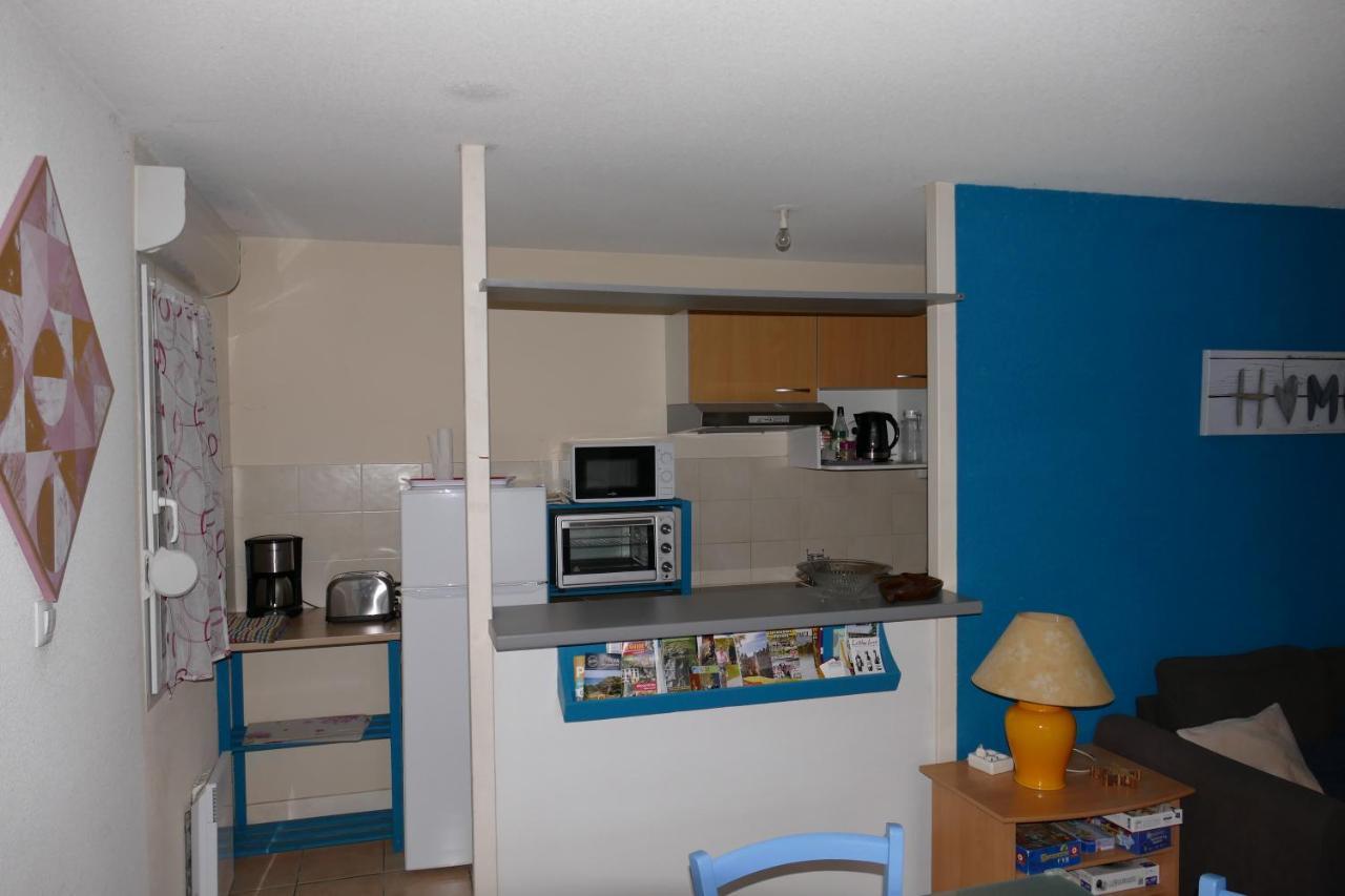 Carcassonne T3 Residentiel Rez De Jardin Piscine, Wifi, Tennis, Fitness公寓 外观 照片